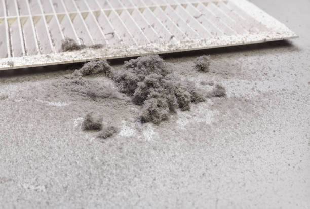 Best Air Vent Cleaning Services  in Melcher Dallas, IA